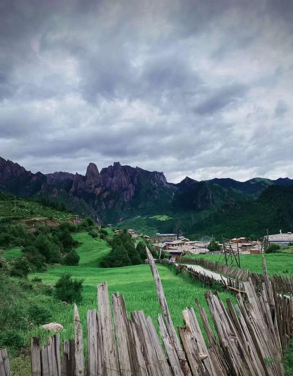 崩坏3
