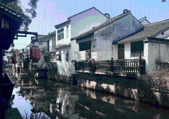 拯救小松鼠