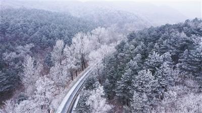 证券市场周刊主笔谢长艳：投资需要等待，重点在于研究公司基本面和验证投资标的